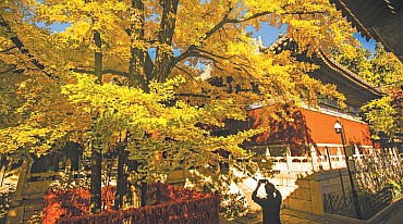 古韵悠悠红螺山