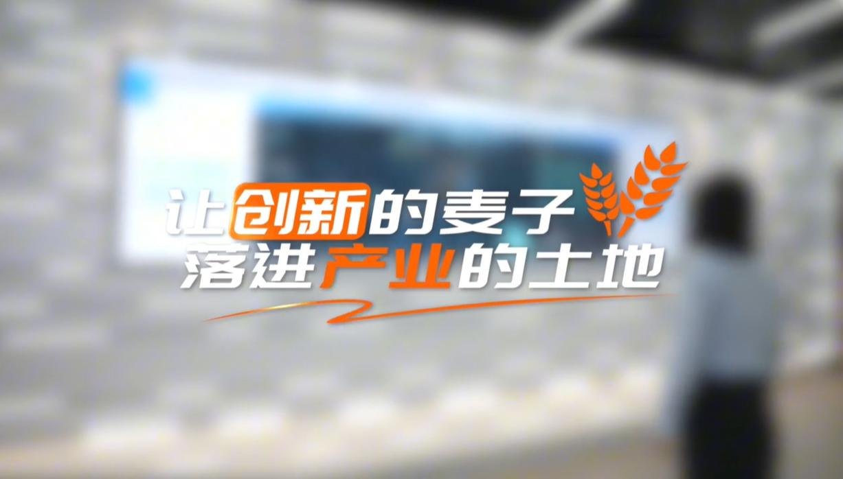 【理响中国&middot;领航未来】让创新的麦子，落进产业的土地