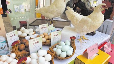 丰收节期间北京开展70余项系列活动