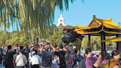 约123万株各色花卉竞相绽放