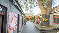 走出家门解锁北京的秋