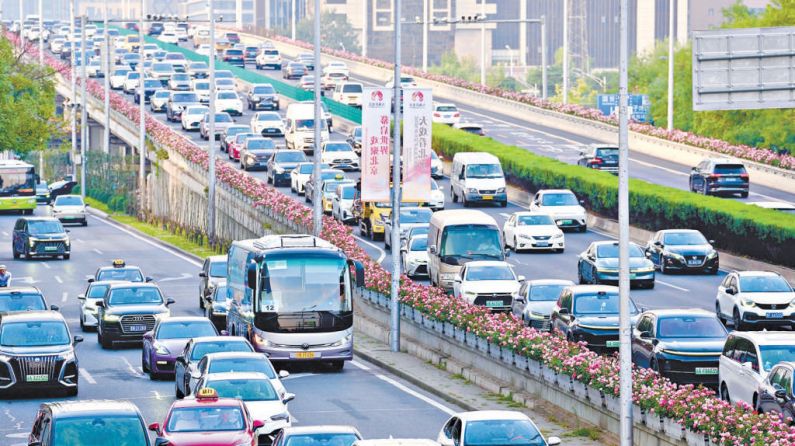 北京环路月季秋季再“爆花” 明春四环路花开不断线