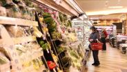 日本叶菜价格大幅上涨