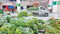 耐储蔬菜成新发地
