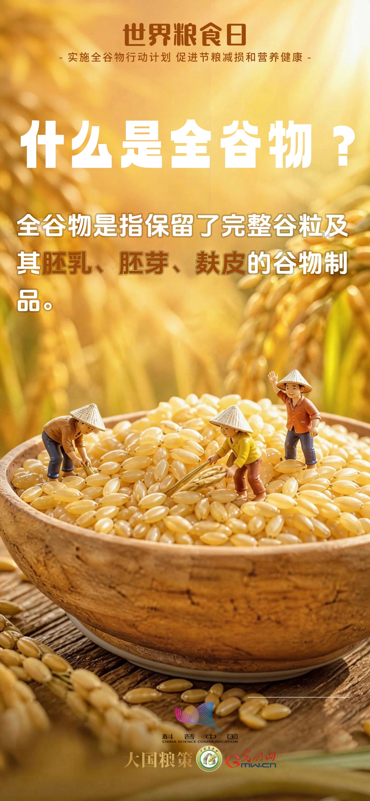 科普海报｜别只吃精米白面！全谷物了解一下