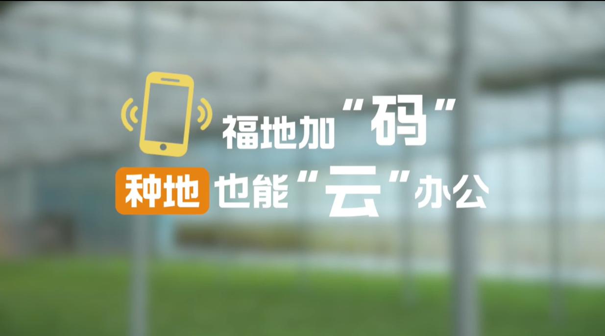 【理响中国·幸福有“理”】福地加“码”,种地也能“云”办公 【理响中国·幸福有“理”】福地加“码”,种地也能“云”办公