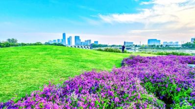 北京通州源头岛预计明年5月完整亮相