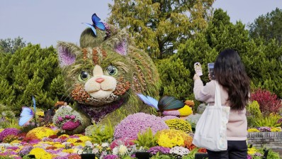 北京市菊花展亮相北海公园