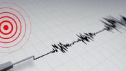 福岛近海发生4.6级地震