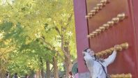 城市表情｜赏秋